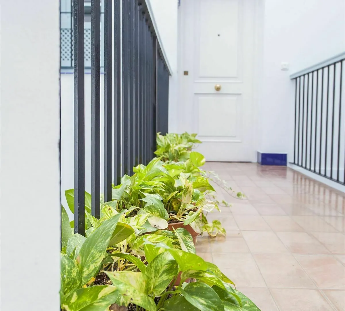 Santa Cruz Apartment Seville